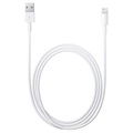Lightning / USB Kaapeli - iPhone, iPad, iPod - Valkoinen - 2m