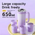 BDL-009PRO 2-in-1-akkukäyttöinen mehustin/tehosekoitin, jossa on kantokahva - 650ml - violetti