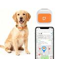 G01 Vedenkestävä älykäs lemmikkien GPS-paikannin 4G/WiFi – L – Oranssi