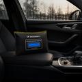 Wozinsky WSP-500 -kosteuden ja hajujen poistaja autoon – 500g – musta